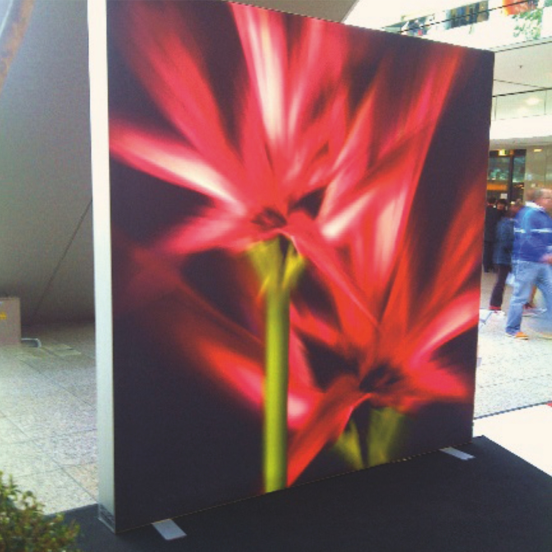 Profile TEX LED 100T - Image 4